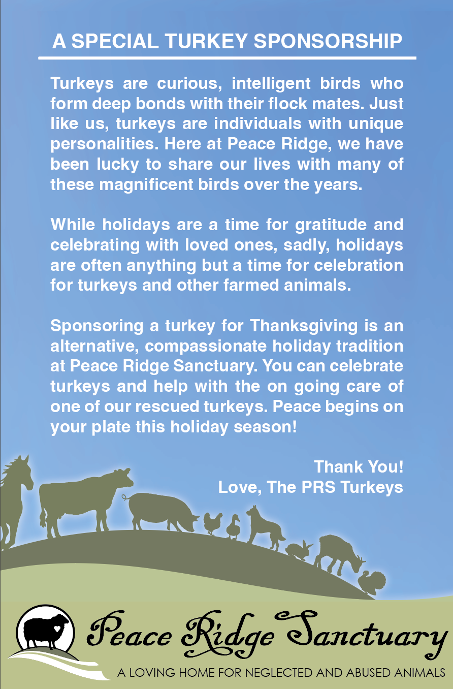 2025 Turkey Sponsor - Image 3