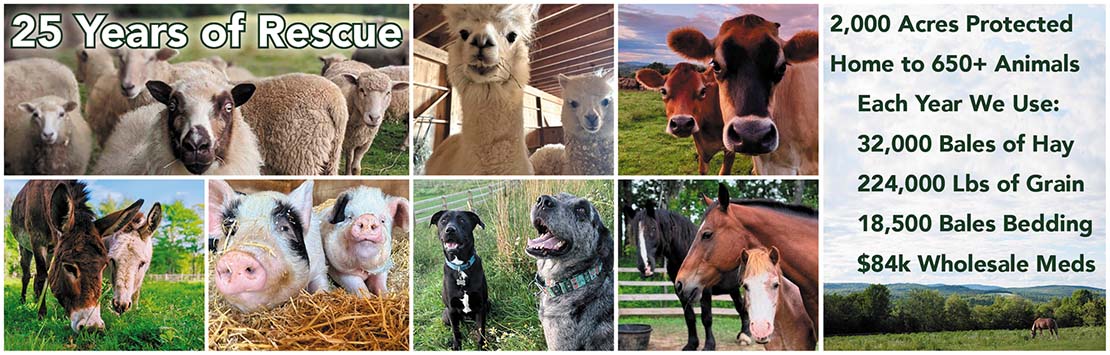 Featured Content_25Year copy